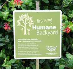 humane society states united backyard palm florida west beach